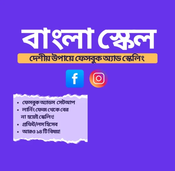 দেশীয় উপায়ে প্রফেশনাল ভাবে ফেসবুকে Ads